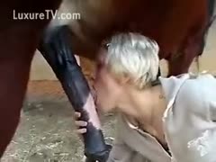 Blonde licks horsecock